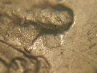 1997-Lincoln-Memorial-Cent-Doubled-Die-Ear-But-What-One?-Or-Die-Crack